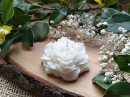 ETHEREA - VELA ESCULTÓRICA